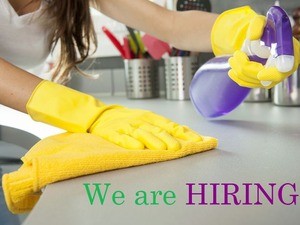 DOMESTIC CLEANER in BROMELY!!!